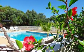 Panoramic Paradise